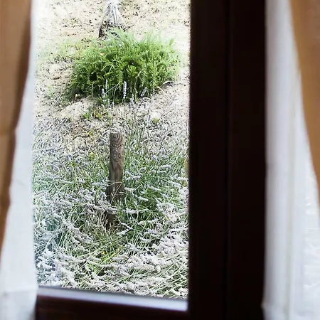 Farm stay La Ca Veja