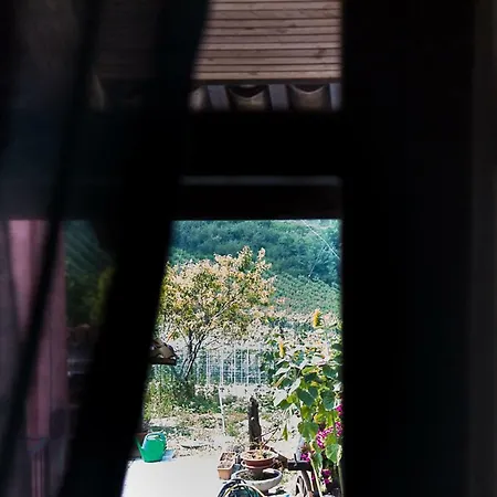 农家乐 La Ca Veja